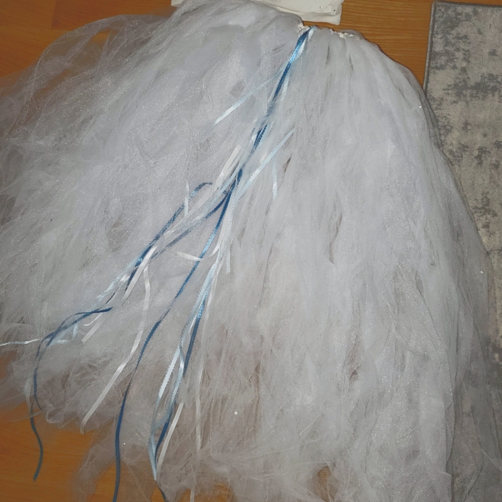 Custom made bejeweled tutu and top.
